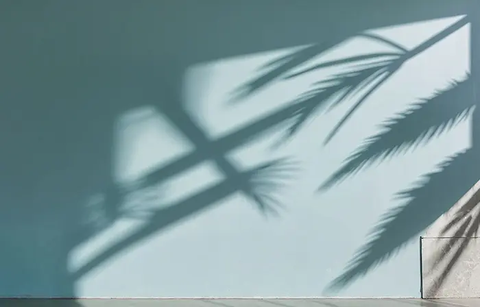 Cool Shadow Palm Wallpaper Art image